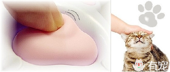 不能专心工作了～猫奴必败的逼真猫爪鼠标来啦！