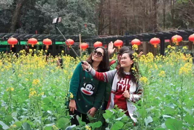 明珠楼白云山风景,白云山明珠楼