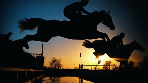 “牛投”冲到股权众筹行业第一阵营，靠的是什么？