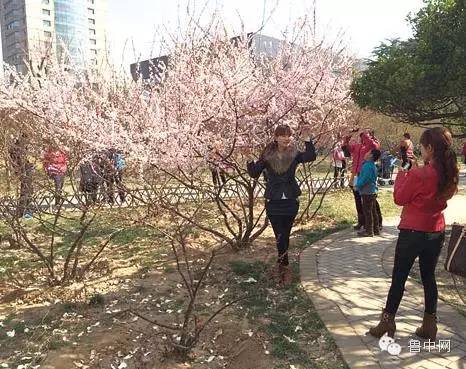 关于淄博你还想知道什么,淄博是个什么样的地方