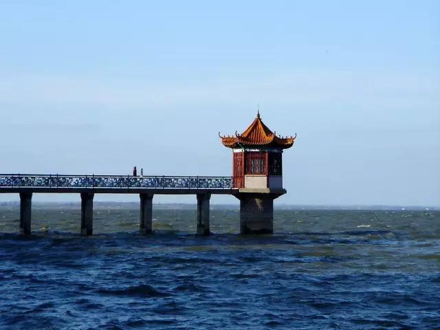 莱西在中国受欢迎,莱西受国人欢迎吗