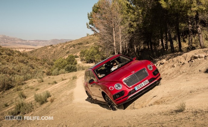 奢华与品味的完美融合,奢华和质感的结合