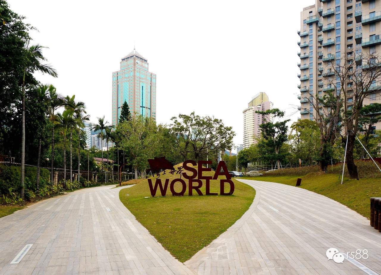 42鑻卞昂璞崕娓歌墖涔嬫梾,rs-88