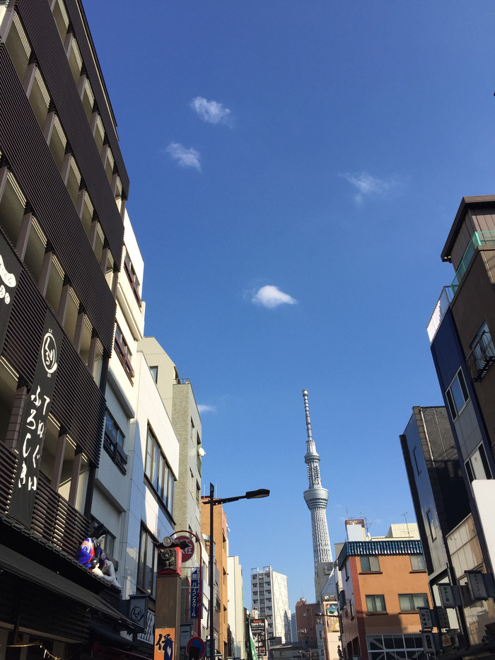 日本的冬天依旧色彩绚烂,冬季日本的冰雪阳光