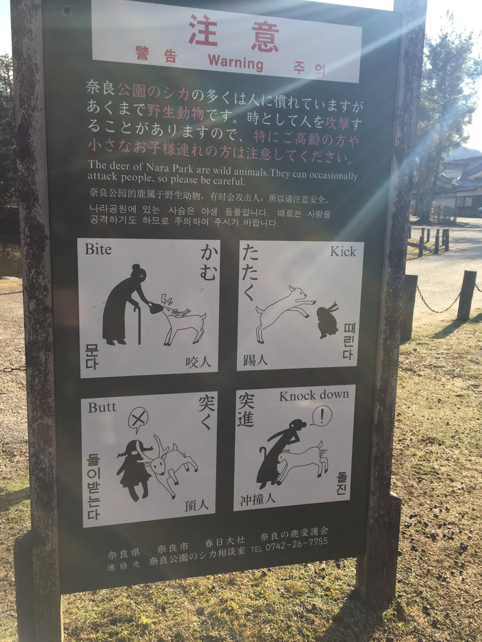 日本的冬天依旧色彩绚烂,冬季日本的冰雪阳光