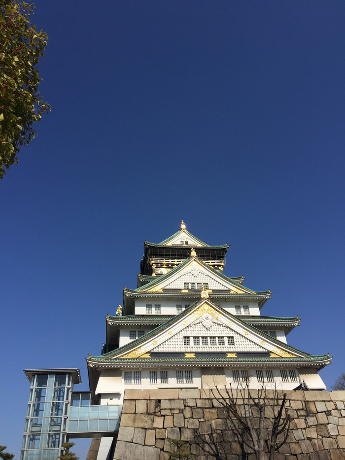 日本的冬天依旧色彩绚烂,冬季日本的冰雪阳光
