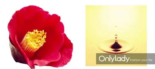 滋养秀发柔润洗发水,滋养秀发保养洗发水