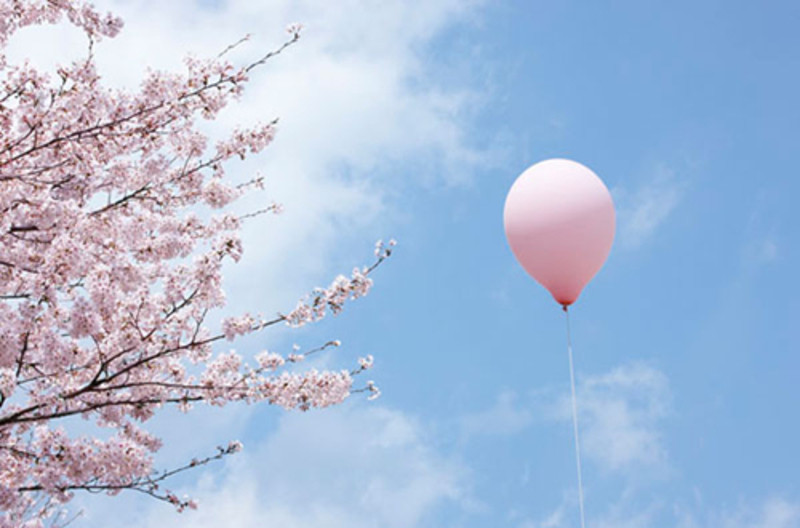 福冈街景图片大全,福冈城市风光图