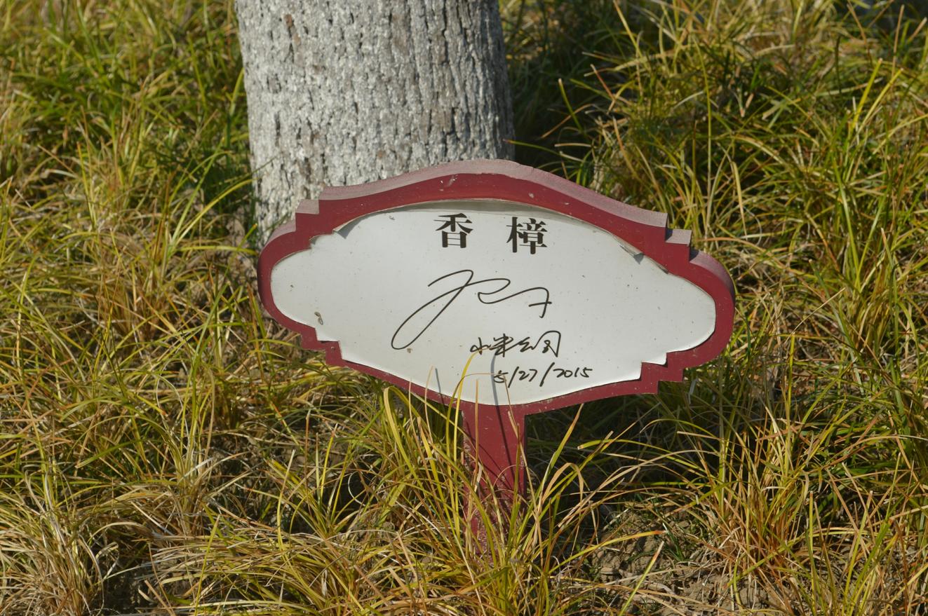 聚焦“中国制造2025”，全球手机品牌为何独宠中国ODM？