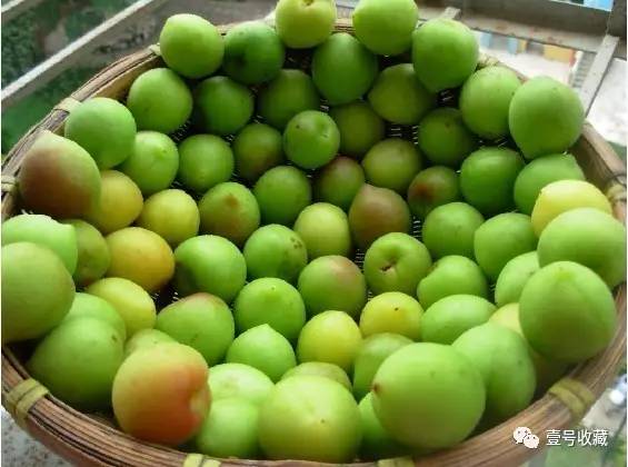 「健康」夏日凉果之王：一颗胜万药，排毒安神抗衰老！