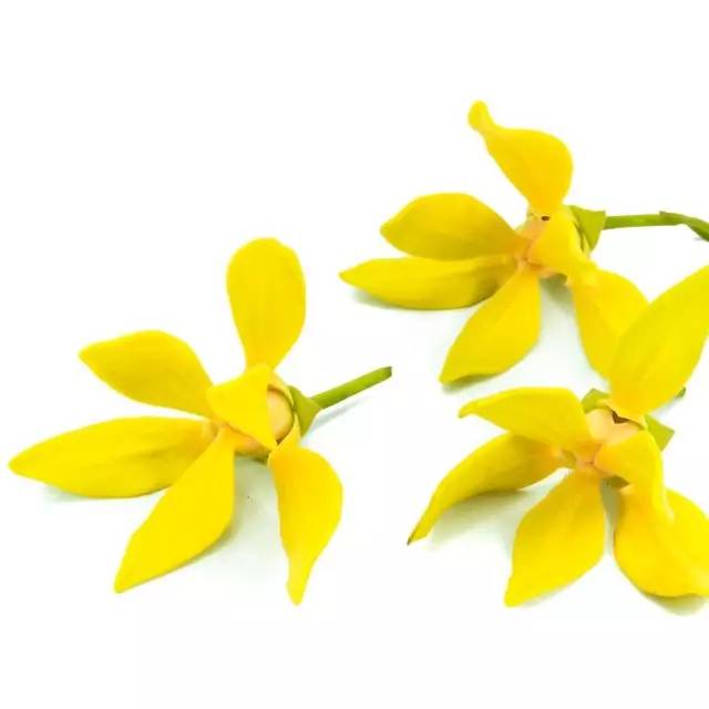 别的变美都要靠整，唯独华发三千，你值得拥有