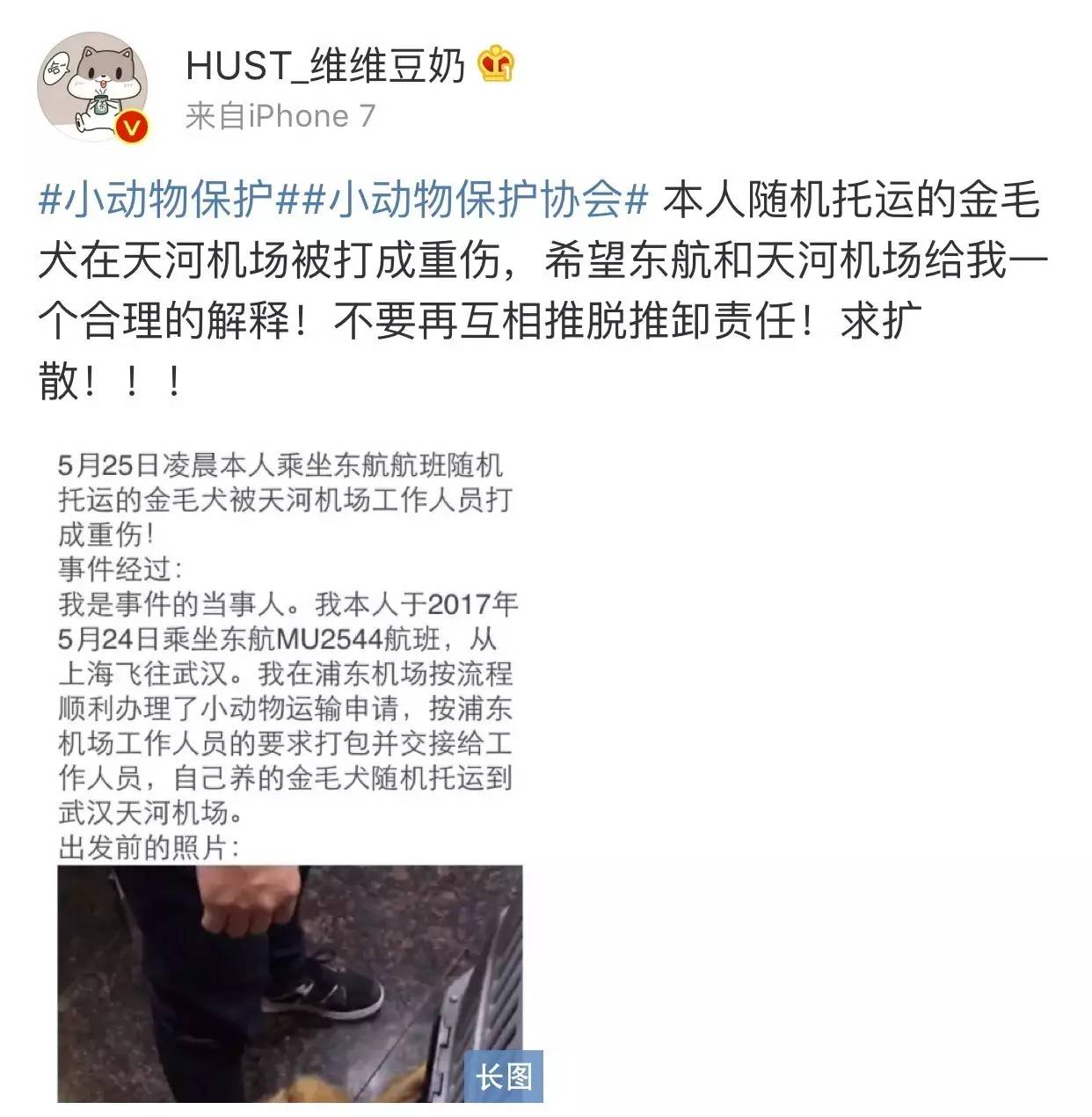 宠物狗能不能上飞机托运,飞机托运狗狗受伤