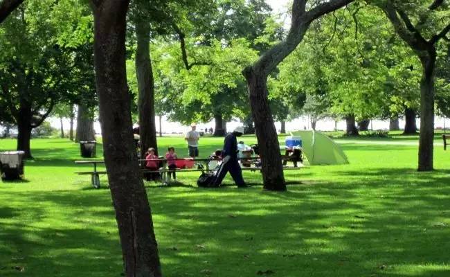 夏日来袭！拿起寂寞的烧烤炉一起BBQ吧