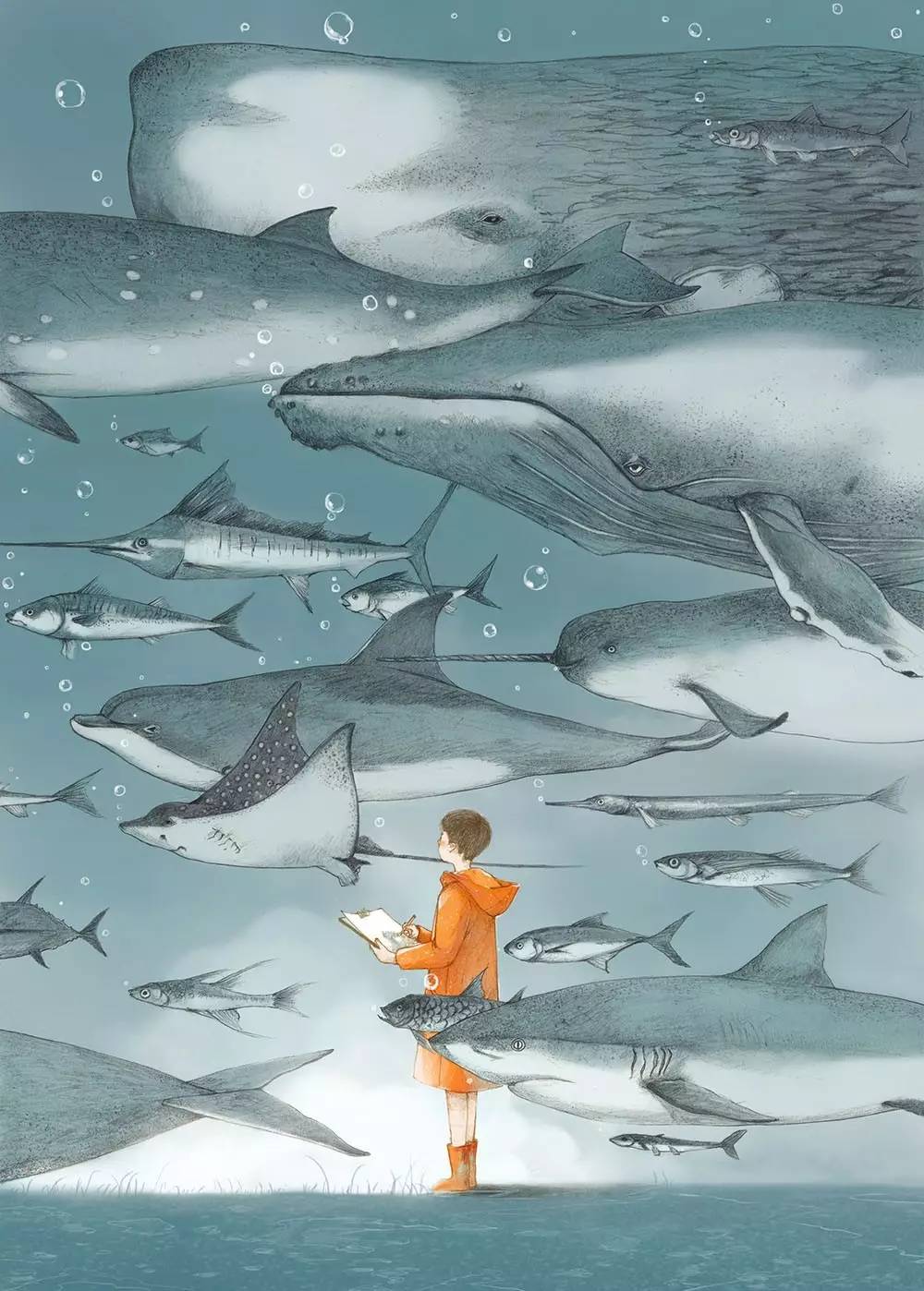 兔子画了一片森林,水彩画一片森林