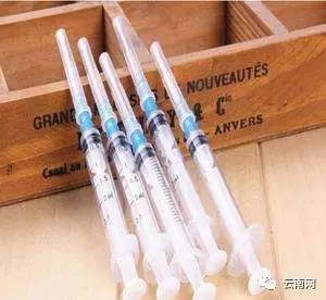 昆明买到星期狗怎么处理,一千多买的狗病了可以起诉吗