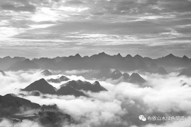 您好！我叫望谟，这是我的新名片~