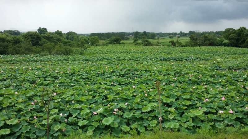 夜班编辑瑞金行｜一路前行一路感动一路收获