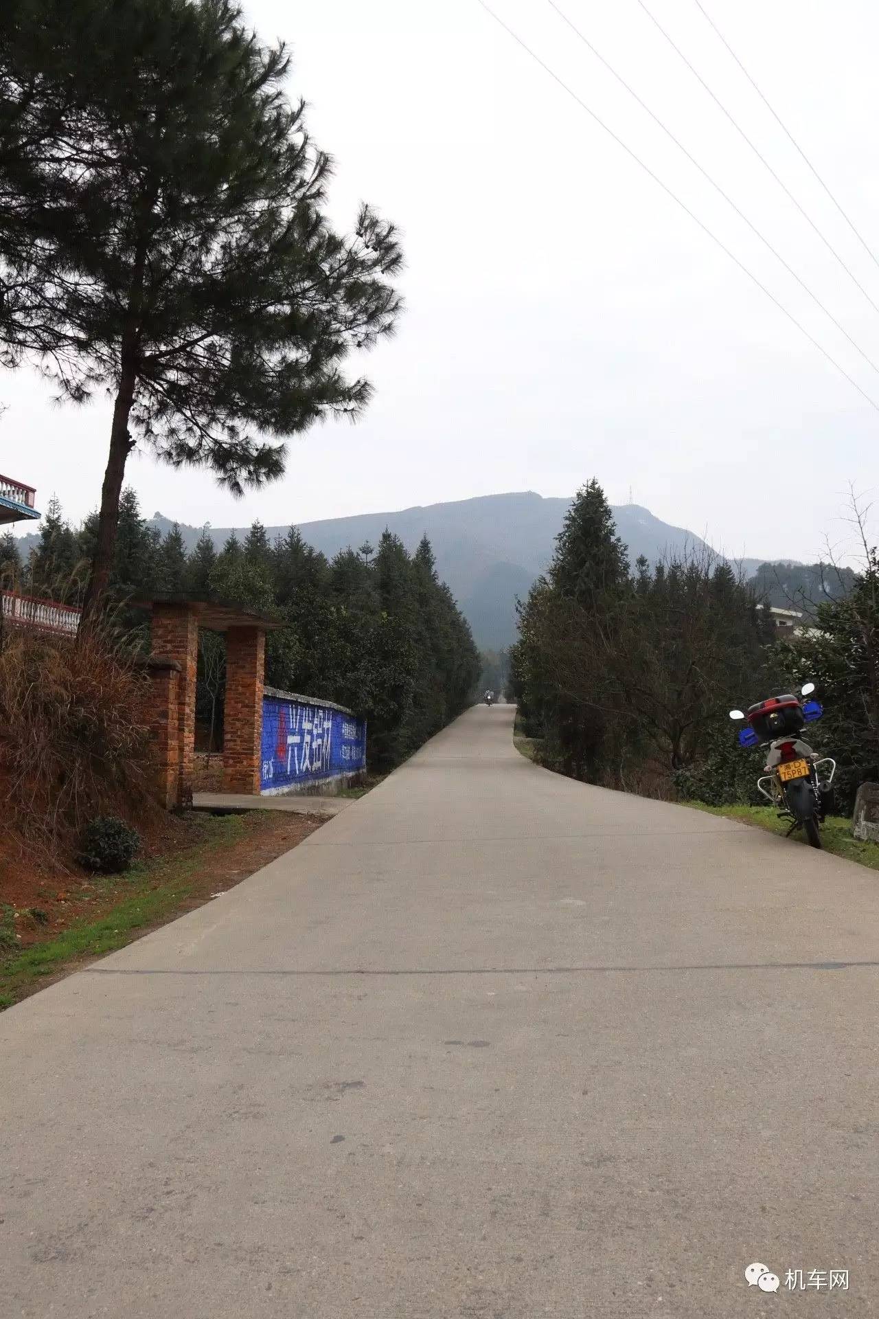 杞﹀弸椋庨噰渚濇棫鍥剧墖,杞﹀弸涓汉椋庨噰闆嗛敠