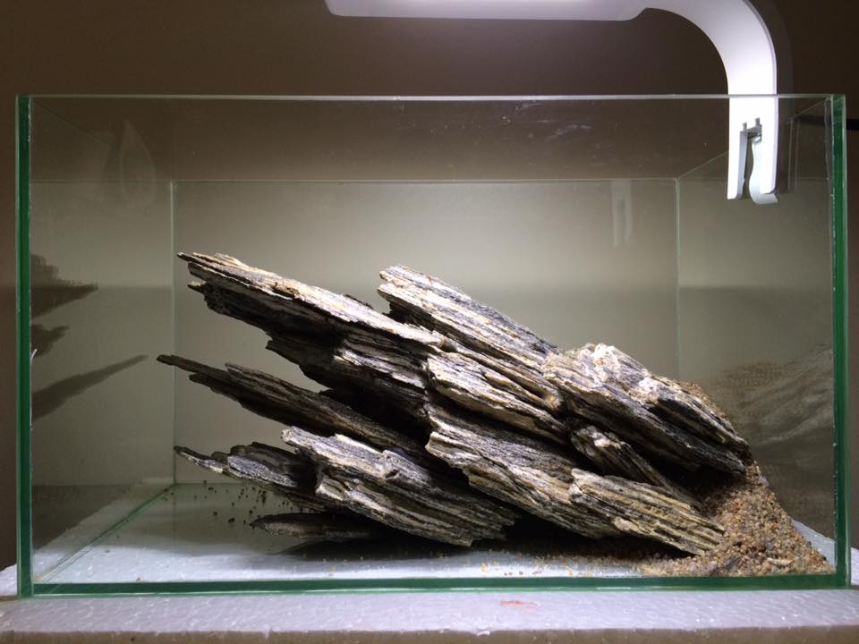 小型圆形草缸开缸过程,草缸开缸第一天要不要开过滤