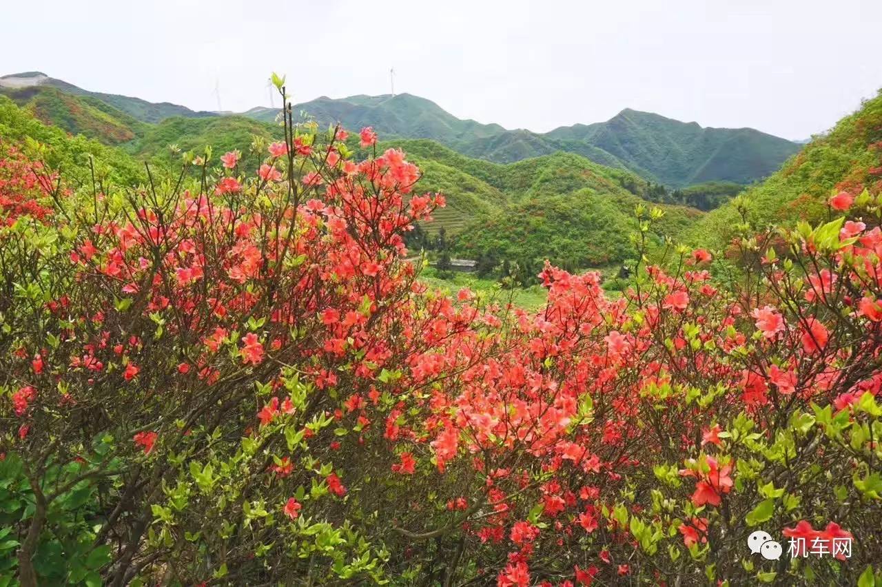 杞﹀弸椋庨噰渚濇棫鍥剧墖,杞﹀弸涓汉椋庨噰闆嗛敠