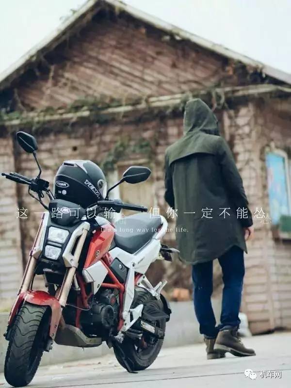 杞﹀弸椋庨噰渚濇棫鍥剧墖,杞﹀弸涓汉椋庨噰闆嗛敠