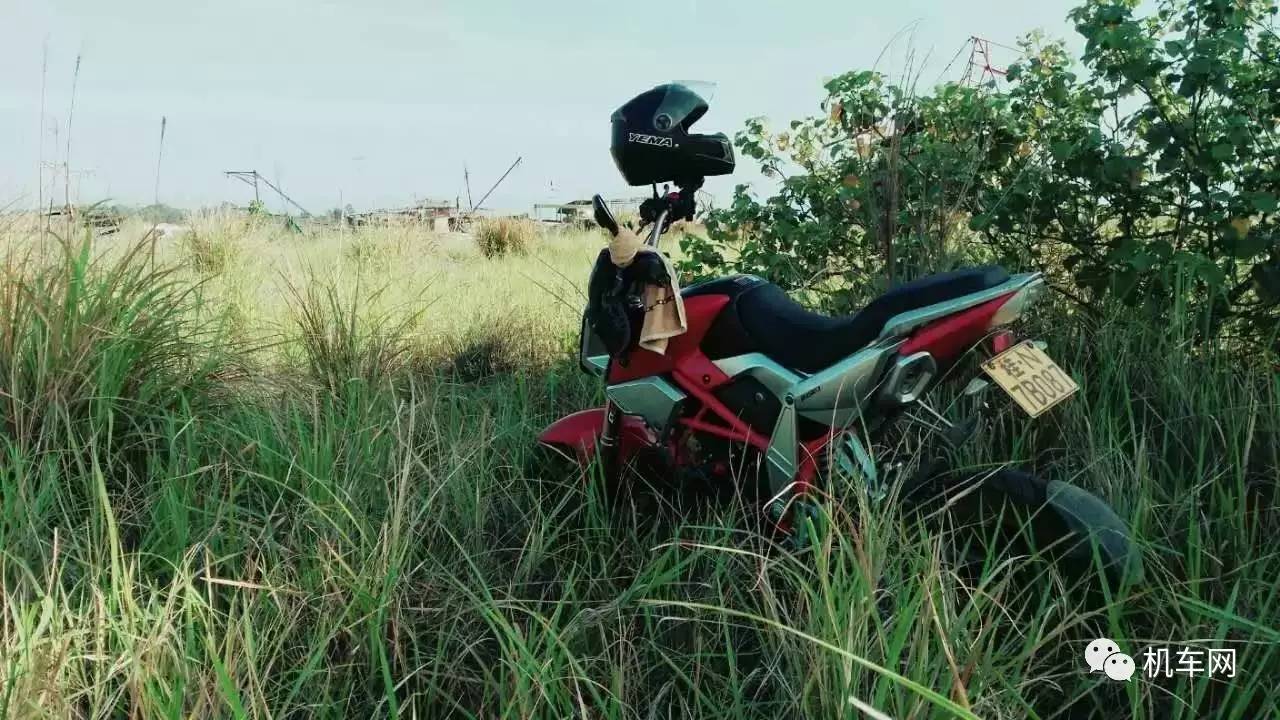 杞﹀弸椋庨噰渚濇棫鍥剧墖,杞﹀弸涓汉椋庨噰闆嗛敠