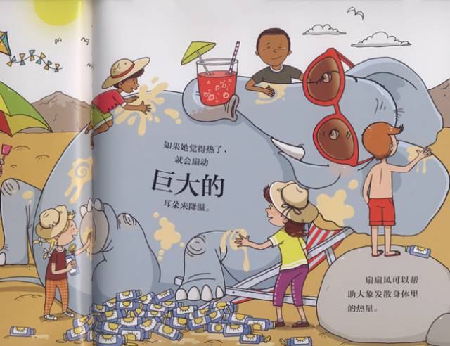 有趣又涨知识的冷科普绘本,儿童必看的自然科普绘本