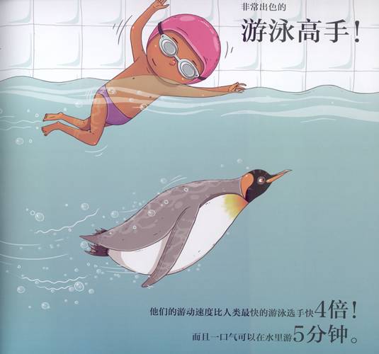 有趣又涨知识的冷科普绘本,儿童必看的自然科普绘本