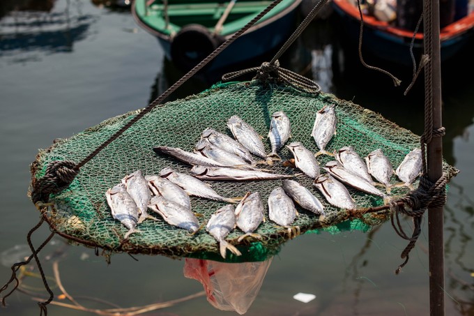 香港长洲离岛,长洲岛香港