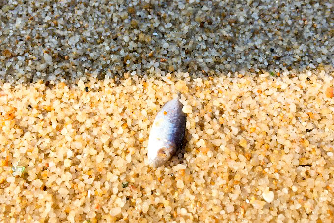 香港长洲离岛,长洲岛香港