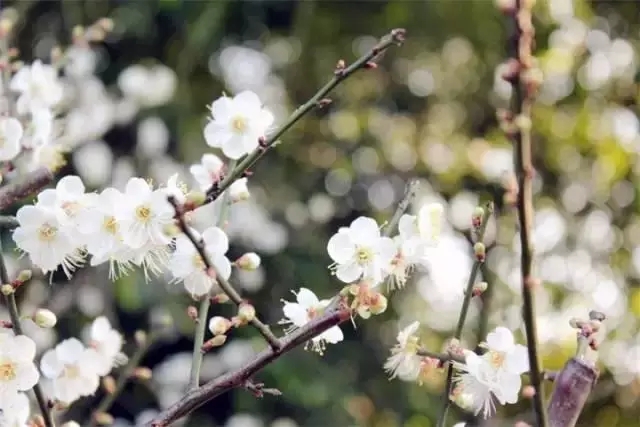 双人自助午餐立减后104元,双人午餐海鲜烤肉自助广州