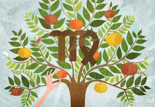 十二星座女为什么对别人挑剔,十二星座谁矫情起来不要命