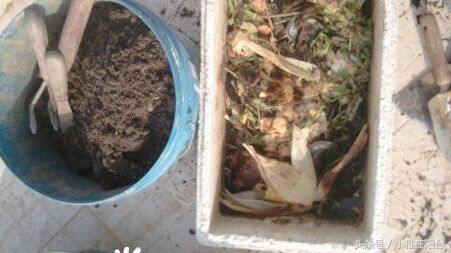 种花没有瓦片,营养土可以种花吗怎么配制