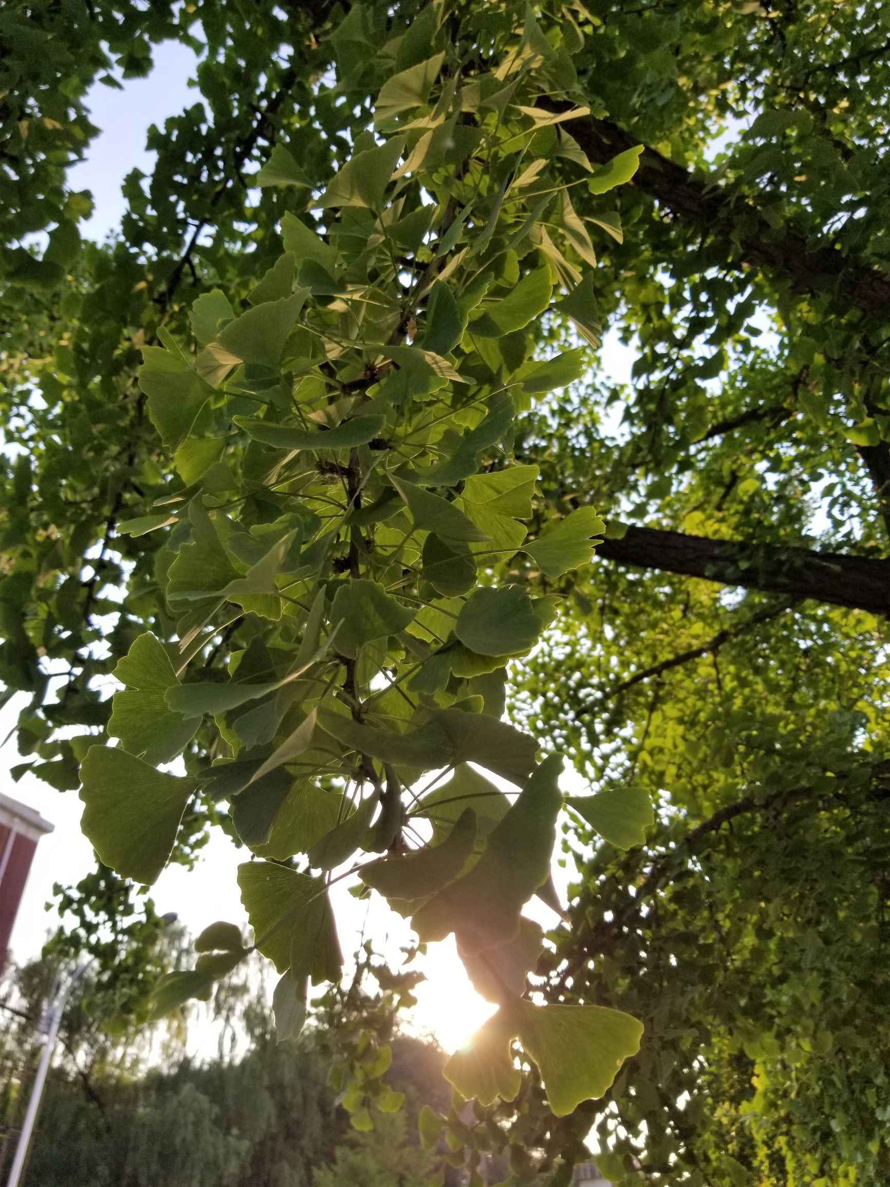 当年的三星s8才是最惊艳的,三星galaxys8有多惊艳