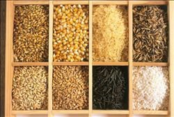 白酒酿酒工艺流程动画,酱香型白酒酿造工艺流程图解