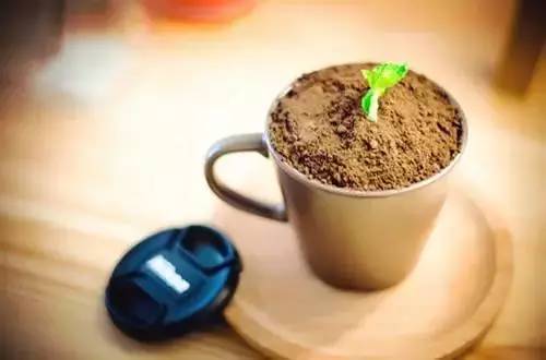 为什么会觉得自己很没用,为什么总觉得自己很没用