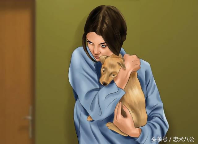 训练狗狗看其他狗不激动,训练狗狗眼睛看着我