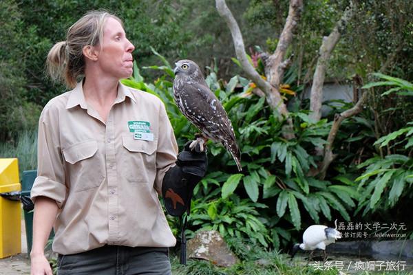 36个必须知道的澳洲旅行贴士,澳洲昆士兰州自由行攻略