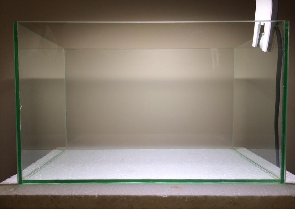 小型圆形草缸开缸过程,草缸开缸第一天要不要开过滤