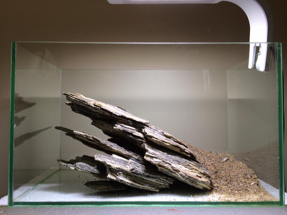 小型圆形草缸开缸过程,草缸开缸第一天要不要开过滤