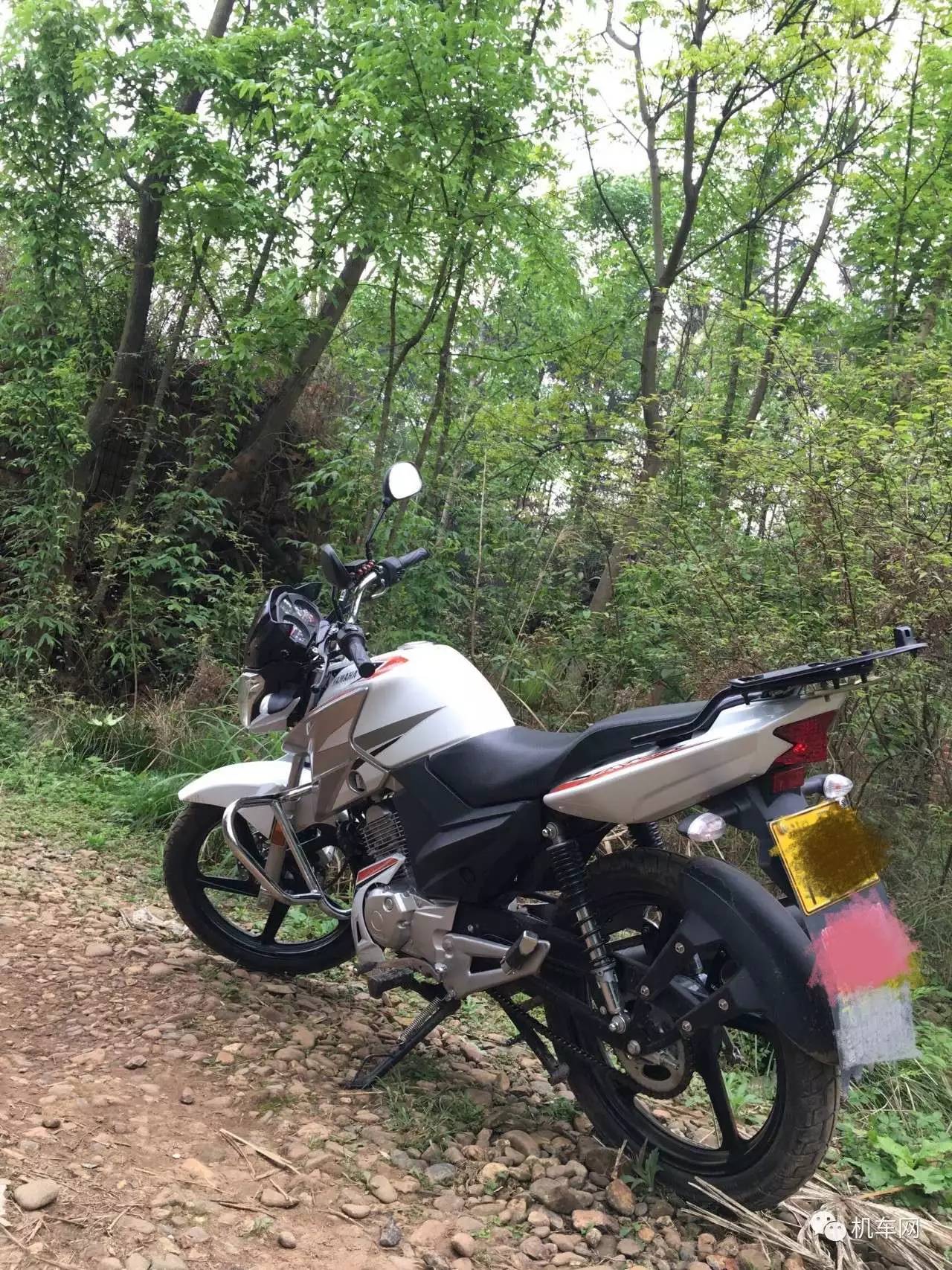 杞﹀弸椋庨噰渚濇棫鍥剧墖,杞﹀弸涓汉椋庨噰闆嗛敠