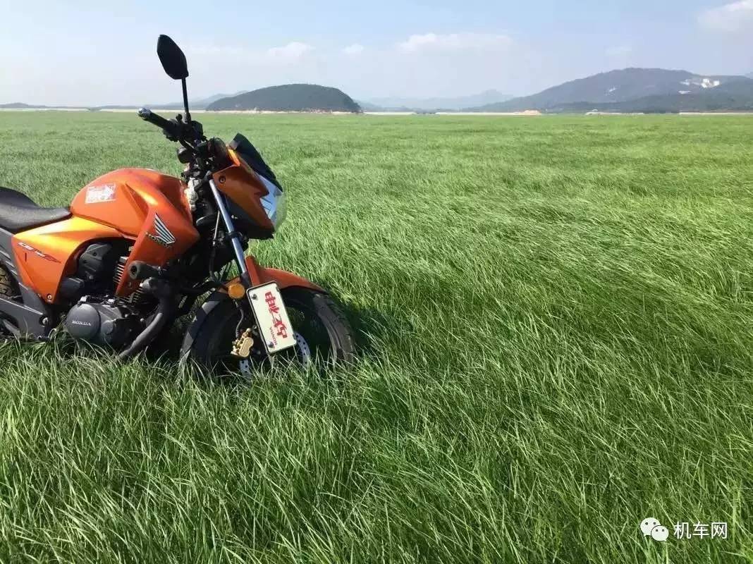 杞﹀弸椋庨噰渚濇棫鍥剧墖,杞﹀弸涓汉椋庨噰闆嗛敠