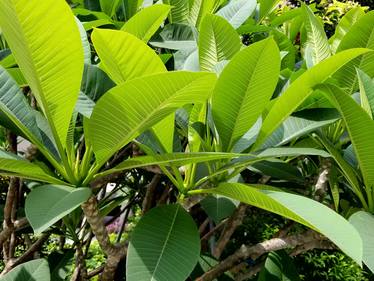 三星galaxys8+值得入手吗,三星galaxys8轻奢版开箱