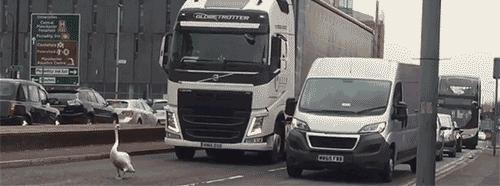 轻松一刻应该怎么做,轻松一刻到底重点在哪里