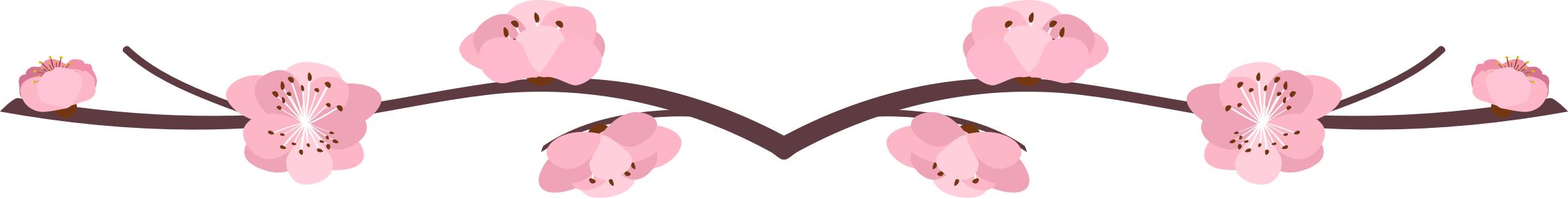 小说晋江言情最新,晋江言情小说高分完结榜