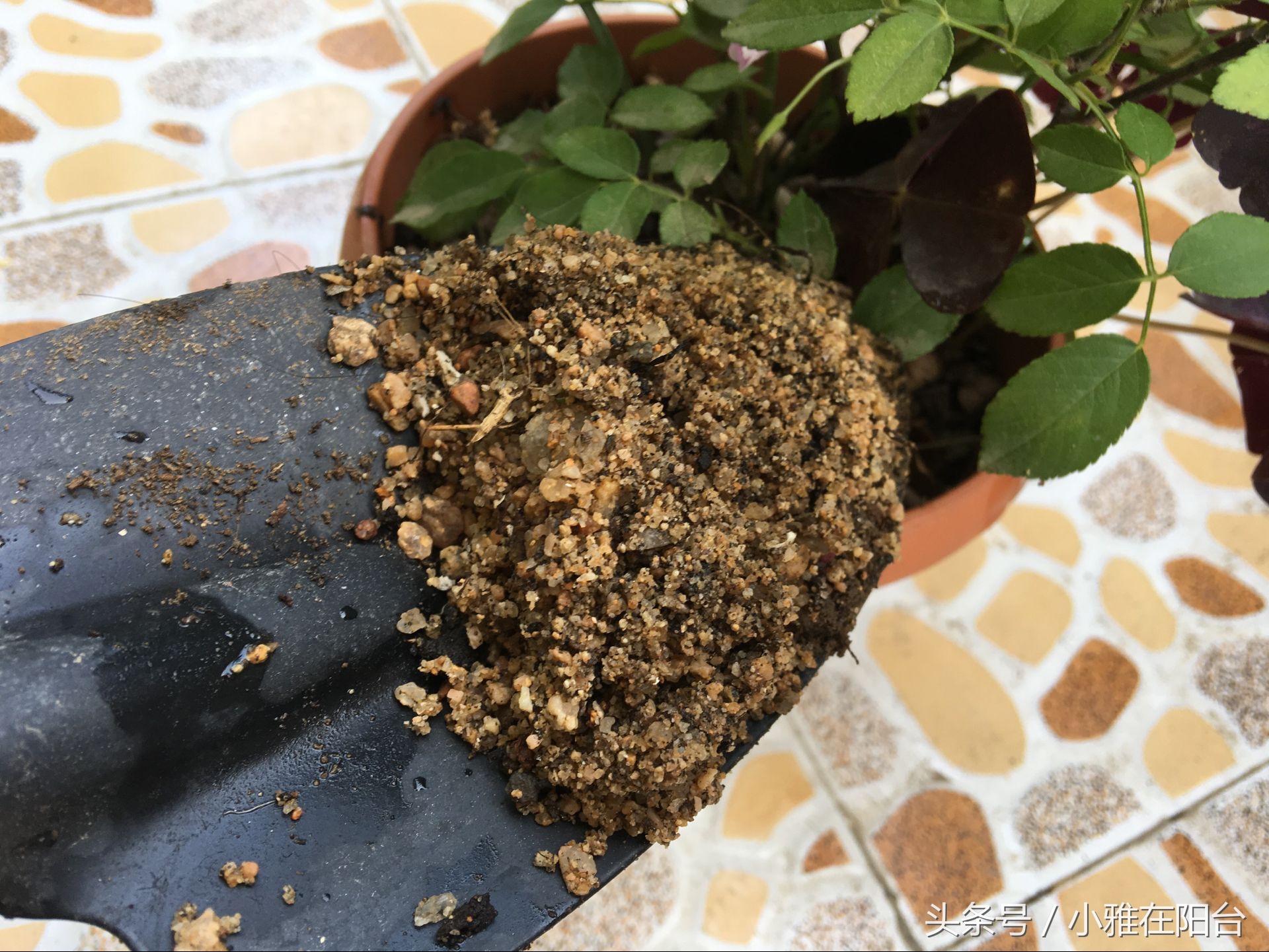 种花没有瓦片,营养土可以种花吗怎么配制