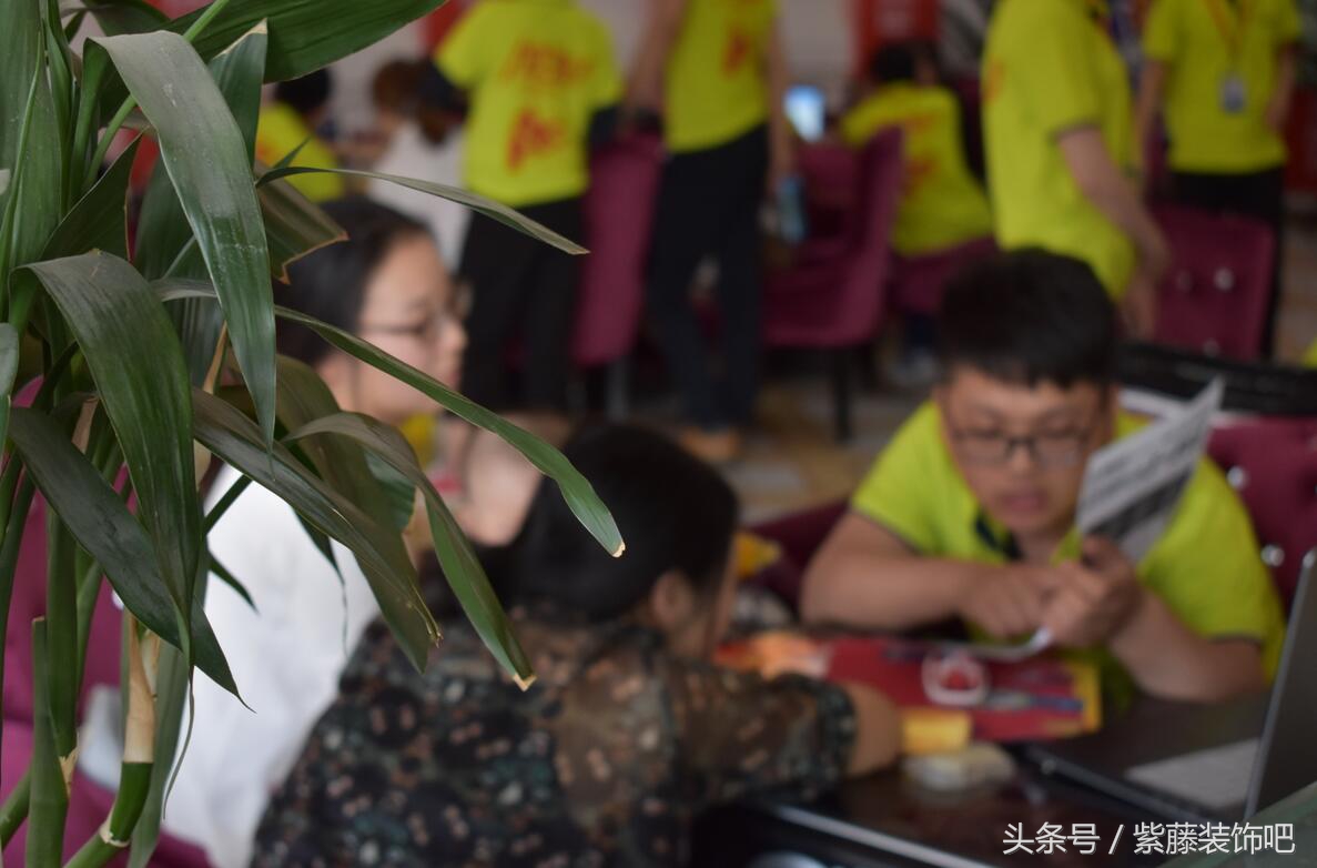兰州紫藤装饰,西安紫藤装饰地址