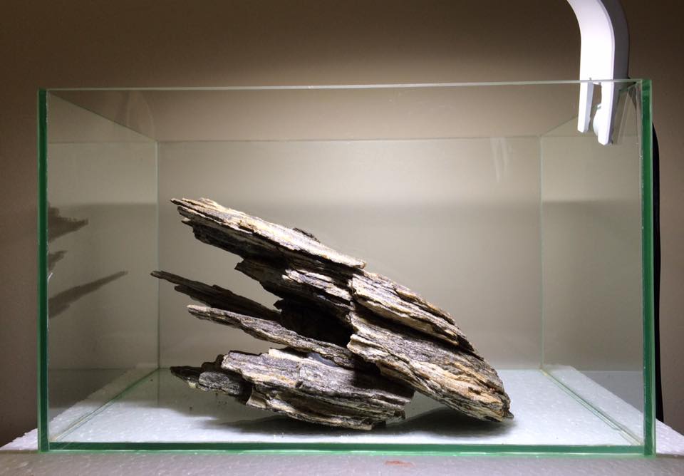 小型圆形草缸开缸过程,草缸开缸第一天要不要开过滤