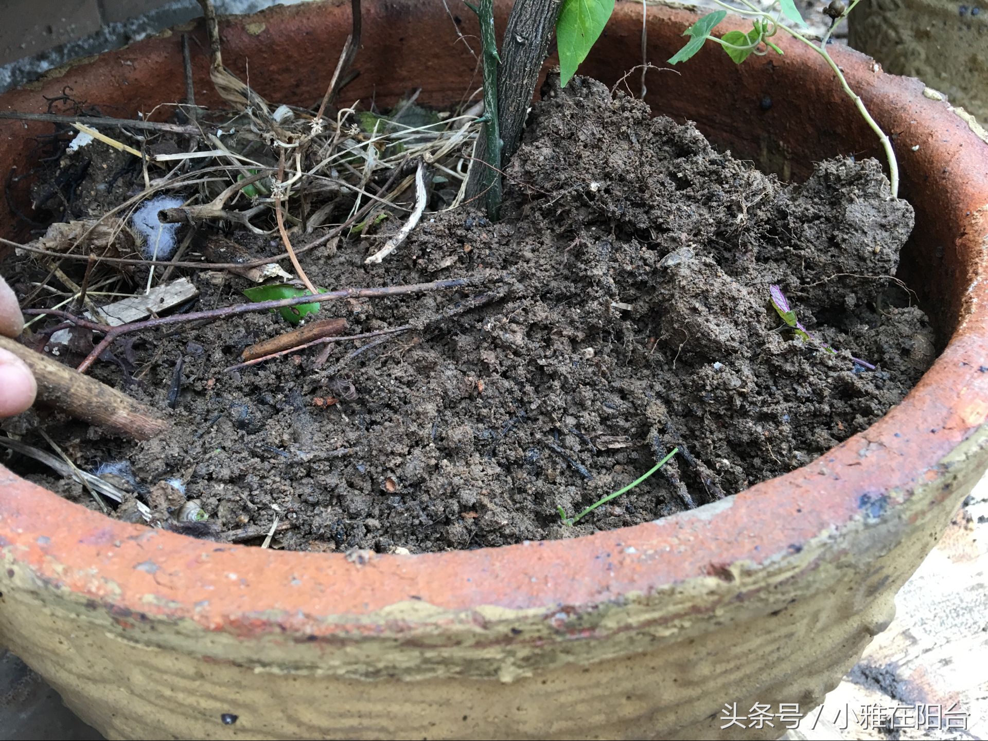 种花没有瓦片,营养土可以种花吗怎么配制