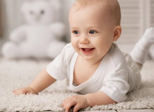 美国horizonorganic奶粉,美国雅培奶粉有哪些品牌